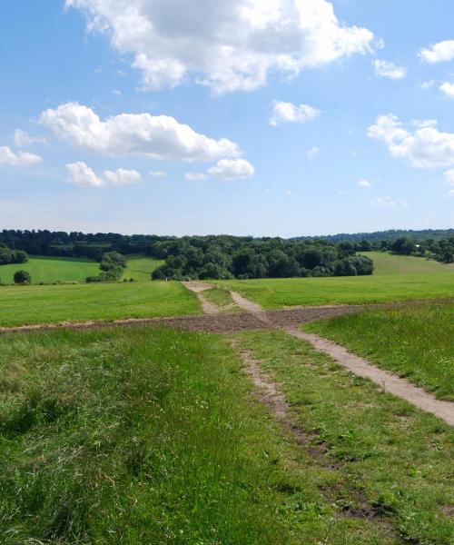 Piękny widok na miasto Epsom