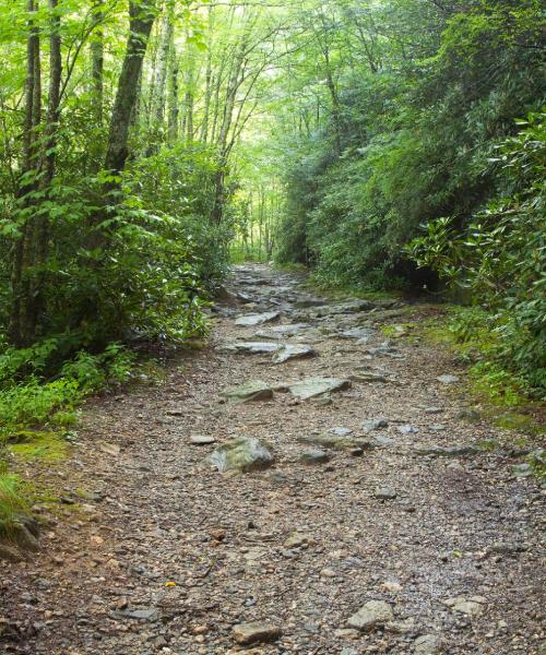 Pemandangan indah bagi Roanoke Rapids