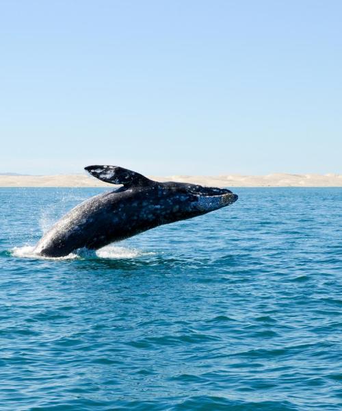 A beautiful view of Ensenada.