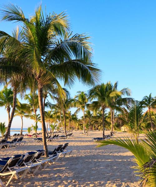 Ein schöner Blick auf Playa del Carmen