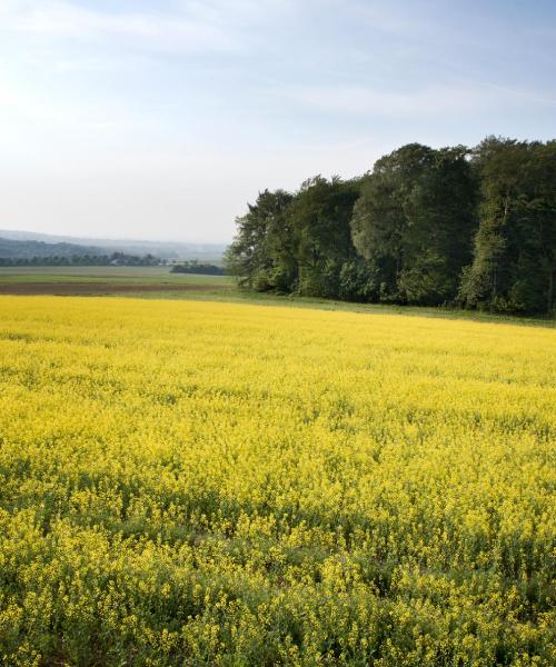 Гарний краєвид міста Леонберг