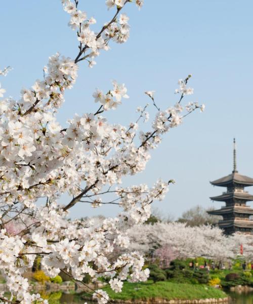 A beautiful view of Wuhan.