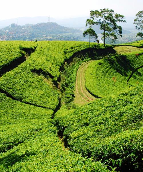 A beautiful view of Bandung.