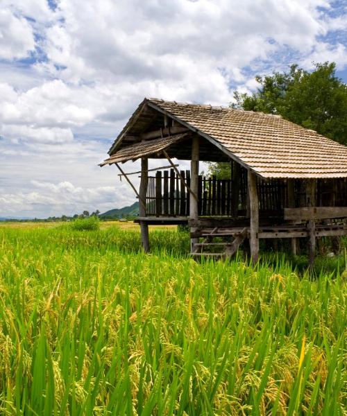 A beautiful view of Pai