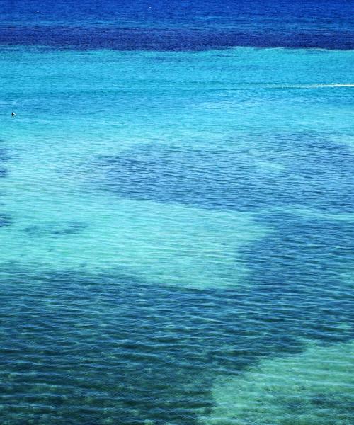 A beautiful view of Ocho Rios – a popular city among our users