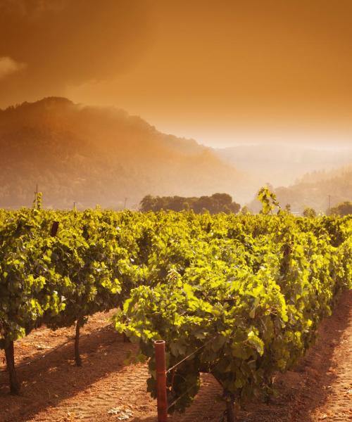 Una bonita panorámica de Napa