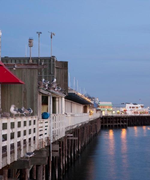 A beautiful view of Santa Cruz.