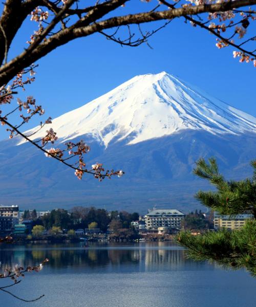 富士河口湖的美景