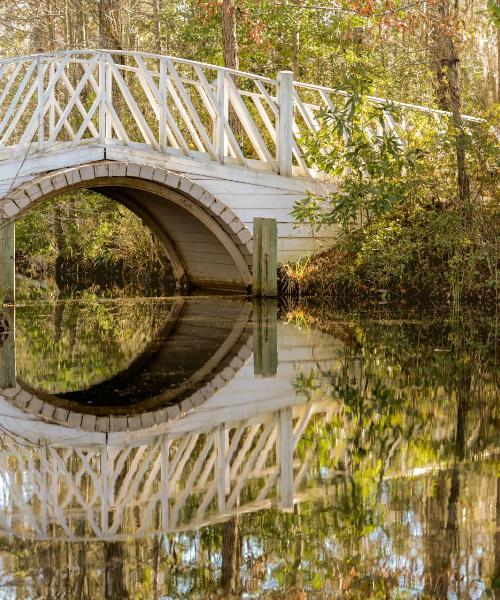 Una bonita panorámica de Moncks Corner