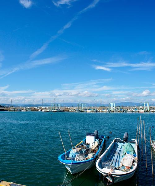 Una bonita panorámica de Matsusaka