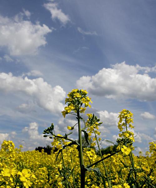 Una panoràmica bonica de Fürstenfeldbruck