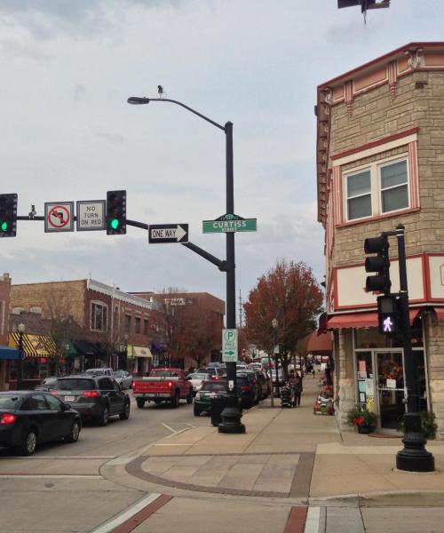 Una hermosa vista de Downers Grove