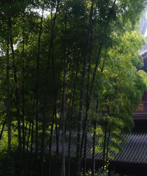 A beautiful view of Bozhou.