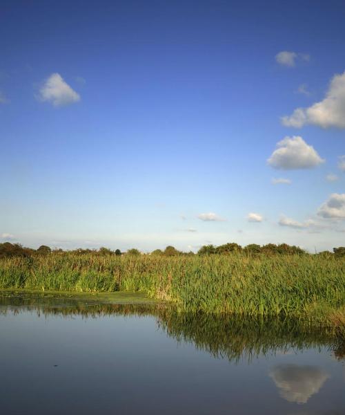 Una hermosa vista de Port Lavaca