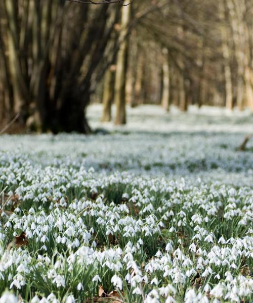 East Ilsleyの美しい景色