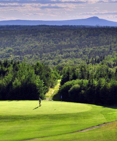 Una bonita panorámica de Gander