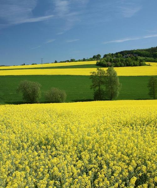 Krásný pohled na město Coesfeld