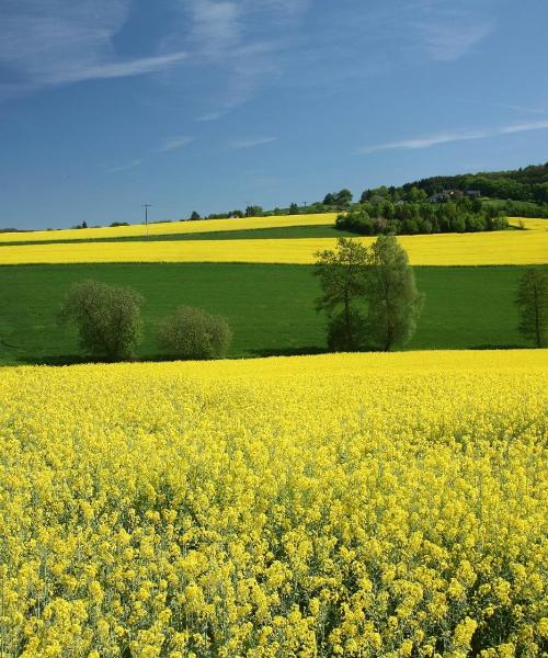 Una bonita panorámica de Coesfeld