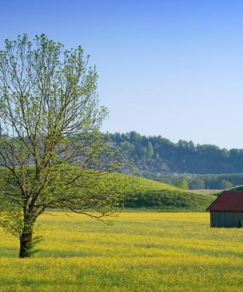 A beautiful view of Unterschleißheim