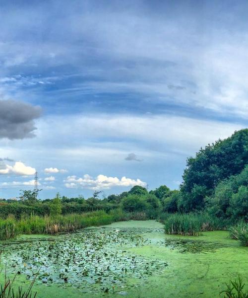 A beautiful view of Bloxwich
