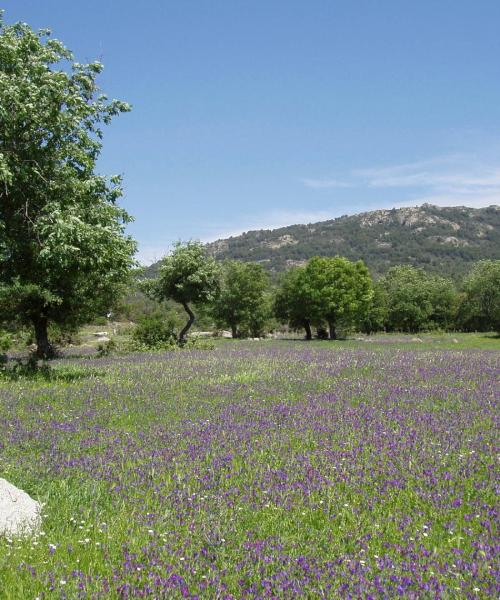 Όμορφη θέα του προορισμού Clovis