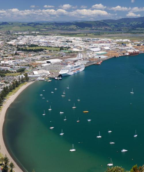 A beautiful view of Tauranga – city popular among our users.