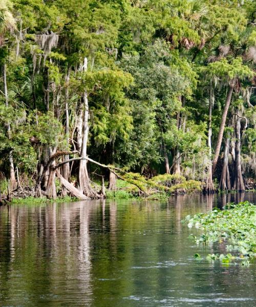 A beautiful view of Green Cove Springs.