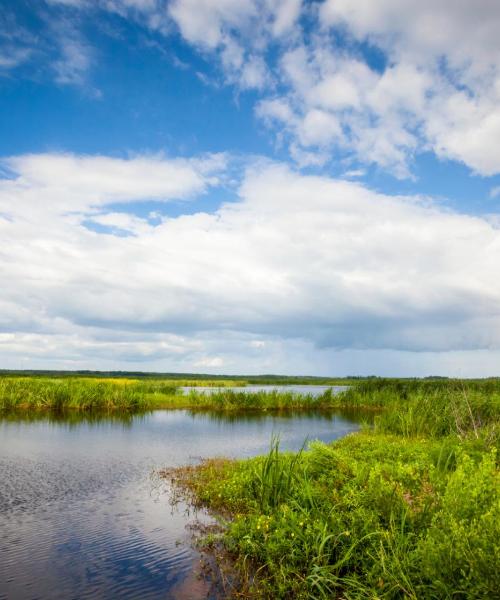 Kaunis näkymä kaupunkiin Rincon