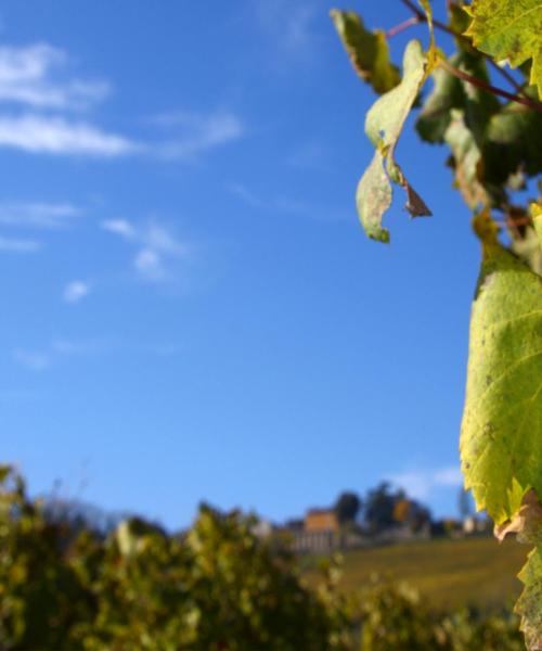 O imagine frumoasă din Fossano