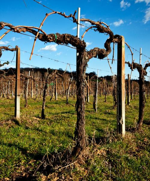 Krásný pohled na město Nizza Monferrato