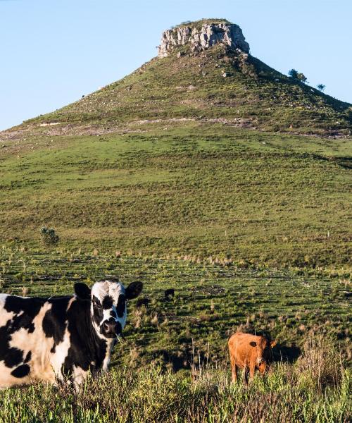 Una bonita panorámica de Tacuarembó