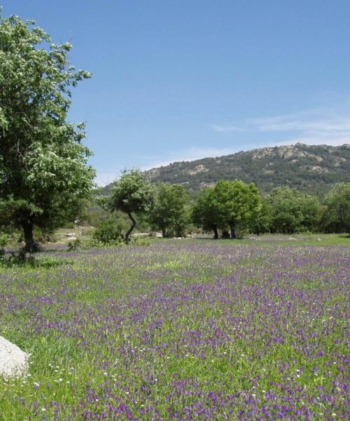 Una bonita panorámica de Dinuba