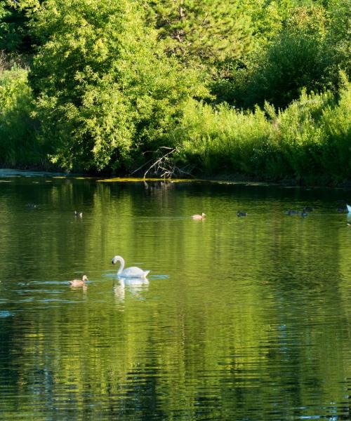 Una bonita panorámica de Piła