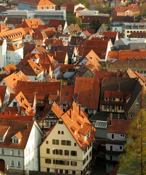 Una bellissima vista di Leinfelden-Echterdingen