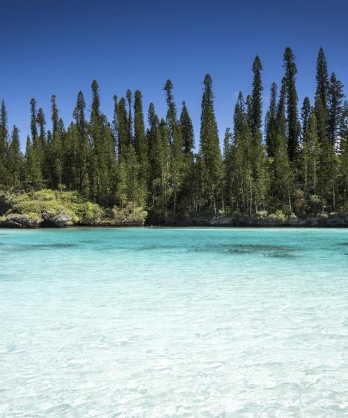 Linna Oro Bay kaunis vaade