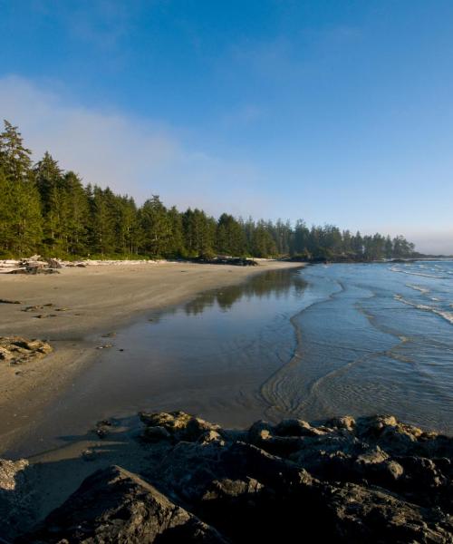 A beautiful view of Tofino.