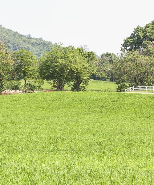 A beautiful view of Pindamonhangaba