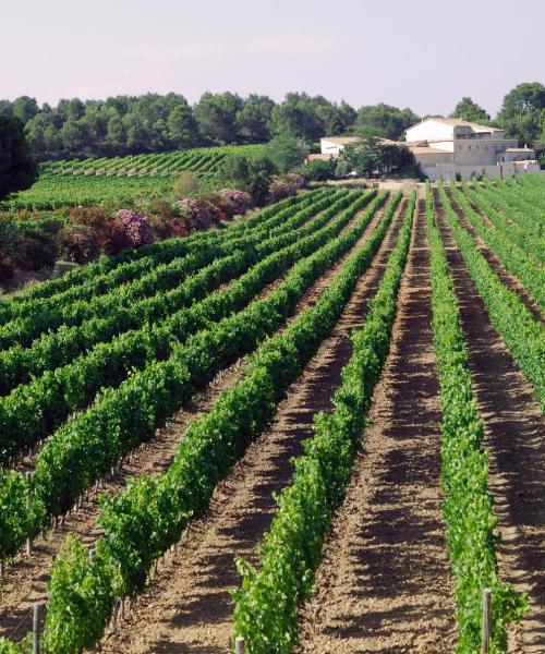 Saint-Aunès şehrinden güzel bir manzara