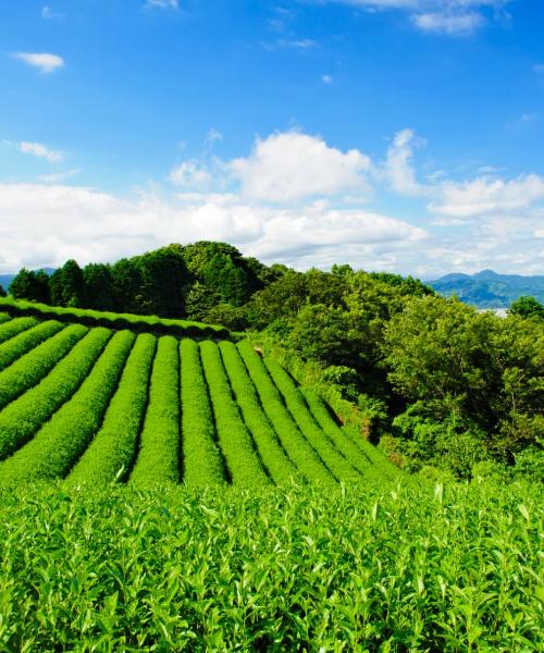 Una panoràmica bonica de Shizuoka