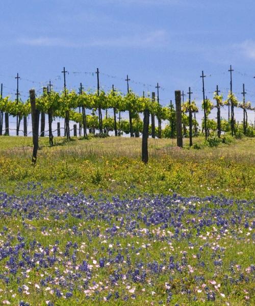 Una bonita panorámica de Grapevine