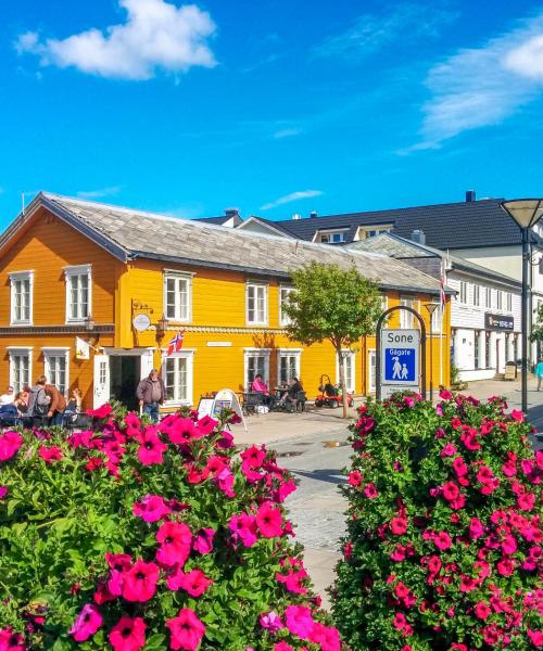 Una bonita panorámica de Sandnessjøen