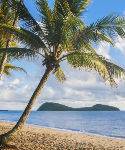 A beautiful view of Palm Cove.
