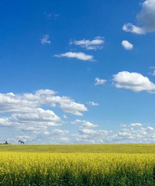 Una panoràmica bonica de Spruce Grove