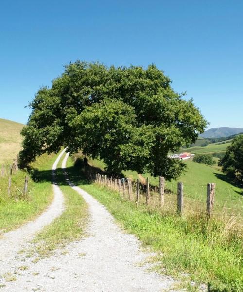 Gražus vietovės Lons vaizdas