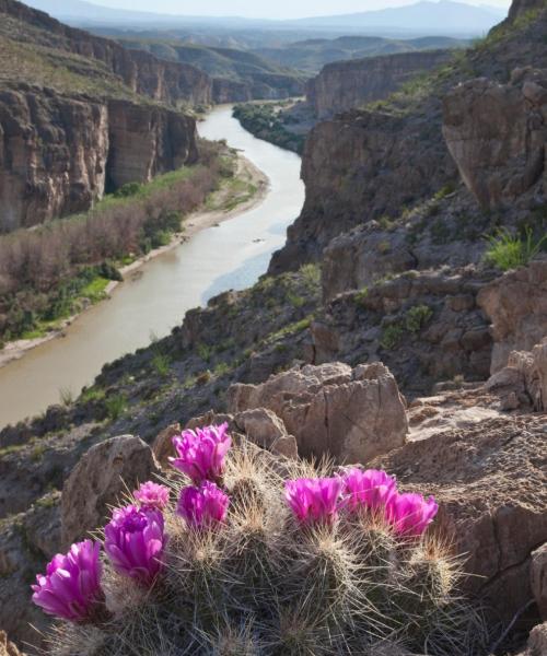 Paisaje espectacular de Nuevo Laredo