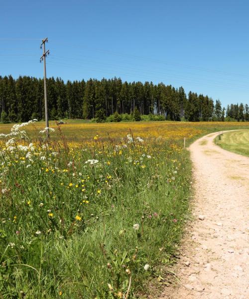 Krásny pohľad na mesto Lohr