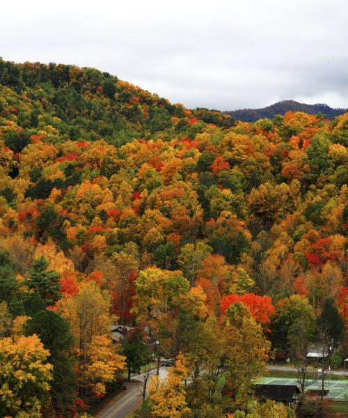 Una hermosa vista de Albemarle