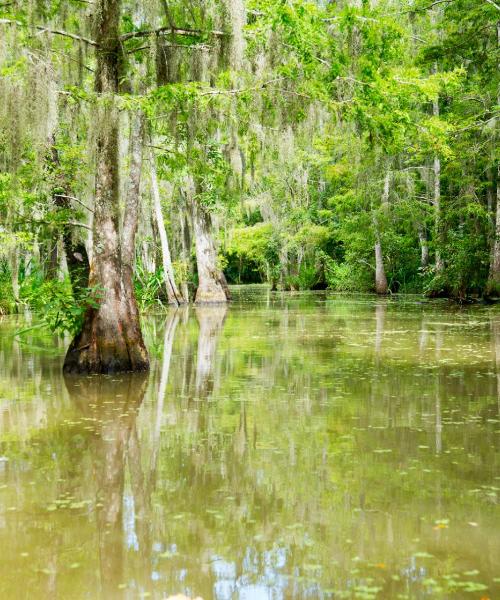 A beautiful view of Thibodaux.