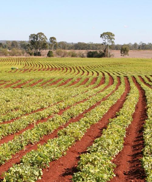 A beautiful view of Kingaroy