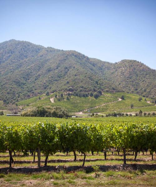 A beautiful view of Curicó